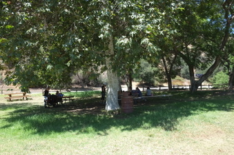 Enlarge photo 48