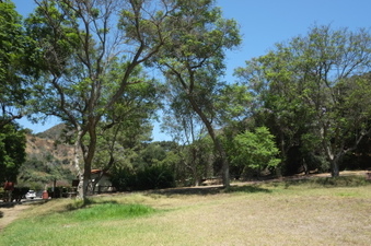 Enlarge photo 49