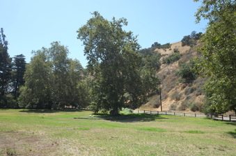 Enlarge photo 50