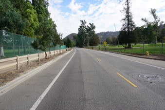 Enlarge photo 41