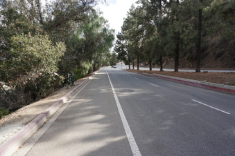 Enlarge photo 16