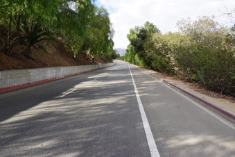 Enlarge photo 19