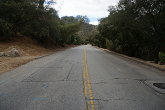 Enlarge photo 79