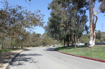 Enlarge photo 20