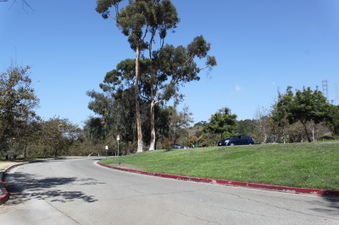 Enlarge photo 33