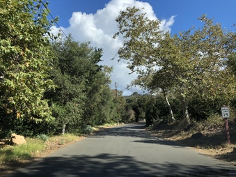 Enlarge photo 7