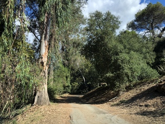 Enlarge photo 8