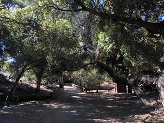 Enlarge photo 19
