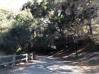 Enlarge photo 5