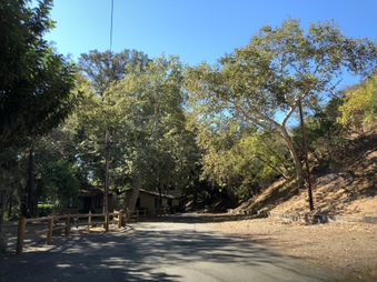 Enlarge photo 22