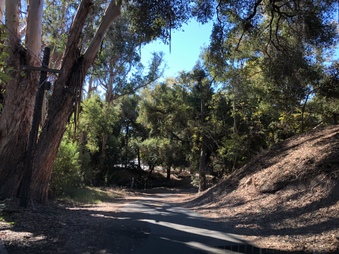 Enlarge photo 25