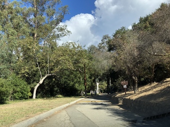 Enlarge photo 26