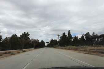Enlarge photo 28