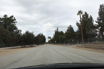 Enlarge photo 27