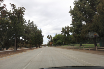 Enlarge photo 26