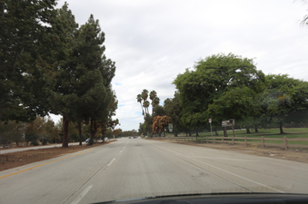 Enlarge photo 25