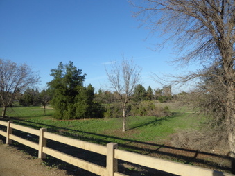 Enlarge photo 77