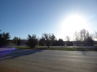 Enlarge photo 75