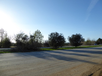 Enlarge photo 74