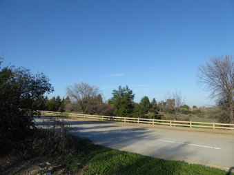 Enlarge photo 71