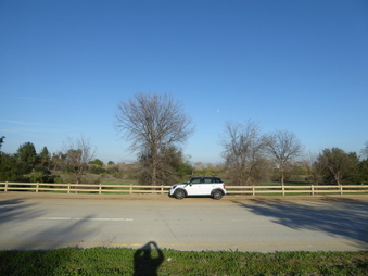 Enlarge photo 70