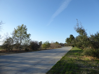 Enlarge photo 66