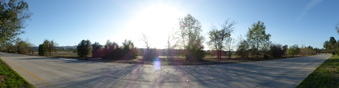 Enlarge photo 65
