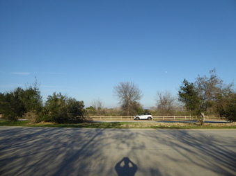 Enlarge photo 62
