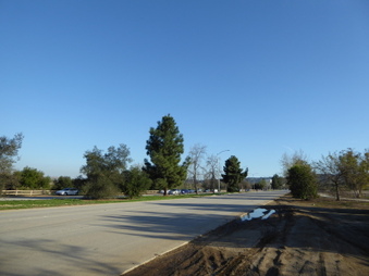 Enlarge photo 61