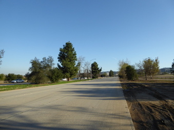 Enlarge photo 59