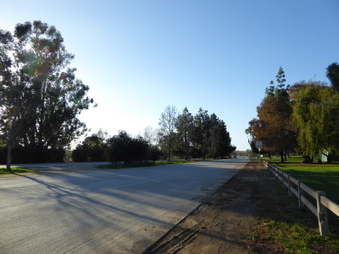 Enlarge photo 55