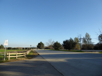 Enlarge photo 54