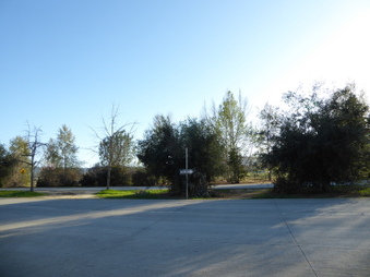 Enlarge photo 53