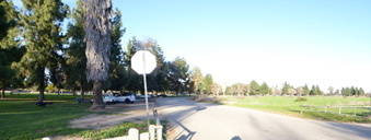 Enlarge photo 51