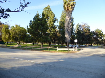 Enlarge photo 49