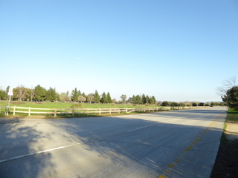 Enlarge photo 47
