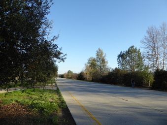 Enlarge photo 46