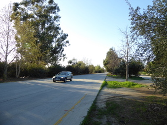 Enlarge photo 45