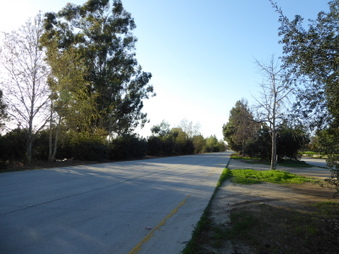 Enlarge photo 44