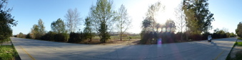 Enlarge photo 43