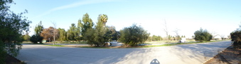 Enlarge photo 42