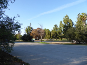 Enlarge photo 41