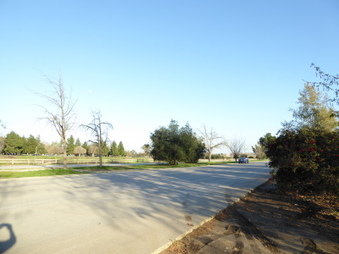 Enlarge photo 40