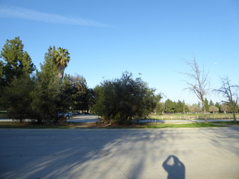 Enlarge photo 39