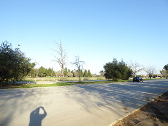 Enlarge photo 38