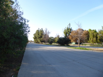 Enlarge photo 37