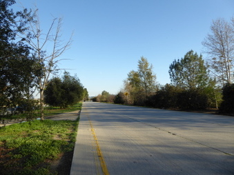 Enlarge photo 36