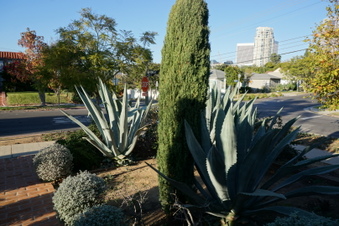 Enlarge photo 8