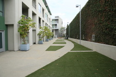 Enlarge photo 30