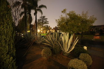 Enlarge photo 11